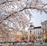 Lunchtime Concerts – Thursday 1 May –  TRIO NOTTURNO Flora Curzon: Violin, Rachel Stott: Viola, Jamie Akers: Guitar