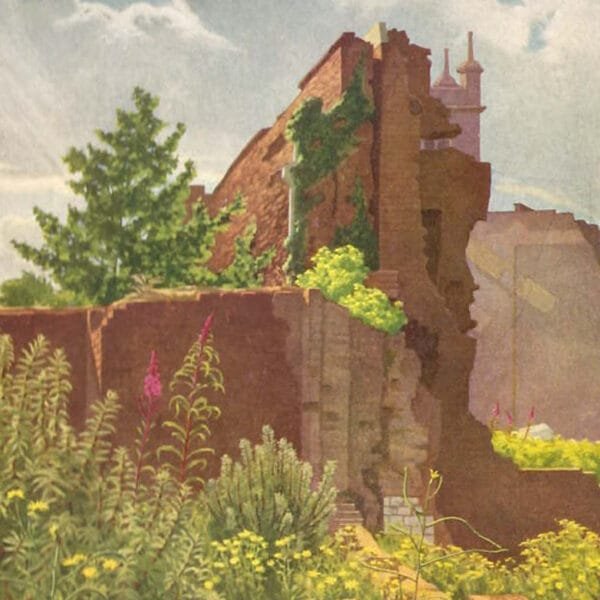 Tuesday 10th March 2026 – 6.30pm – TALK: Job Lousley, Botanist & Banker