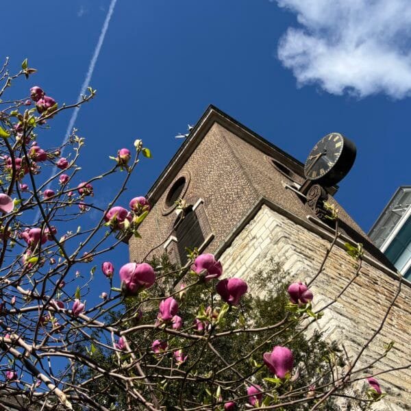 Special Services & Events – April & May 2026