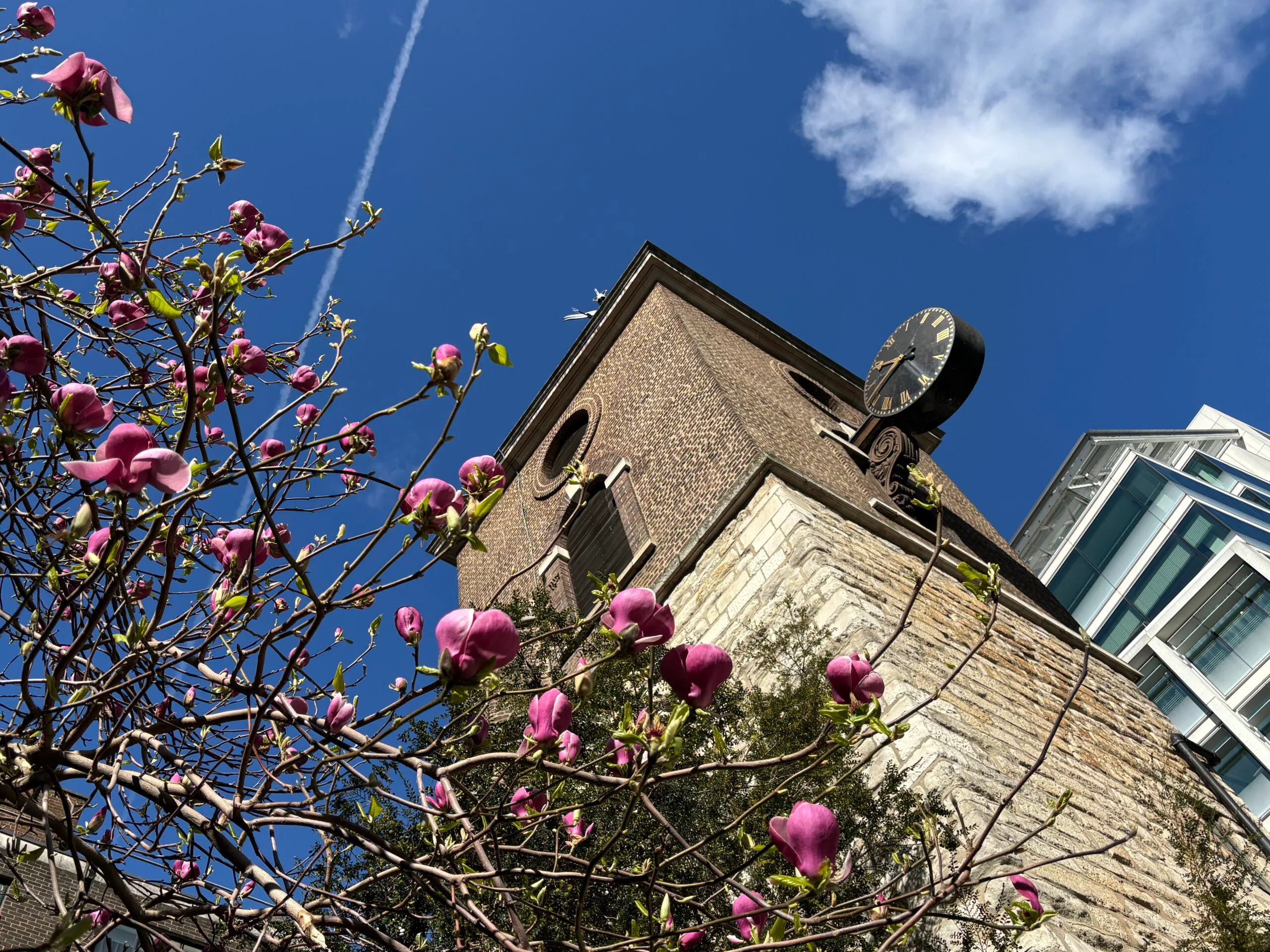 You are currently viewing Special Services & Events – April & May 2026